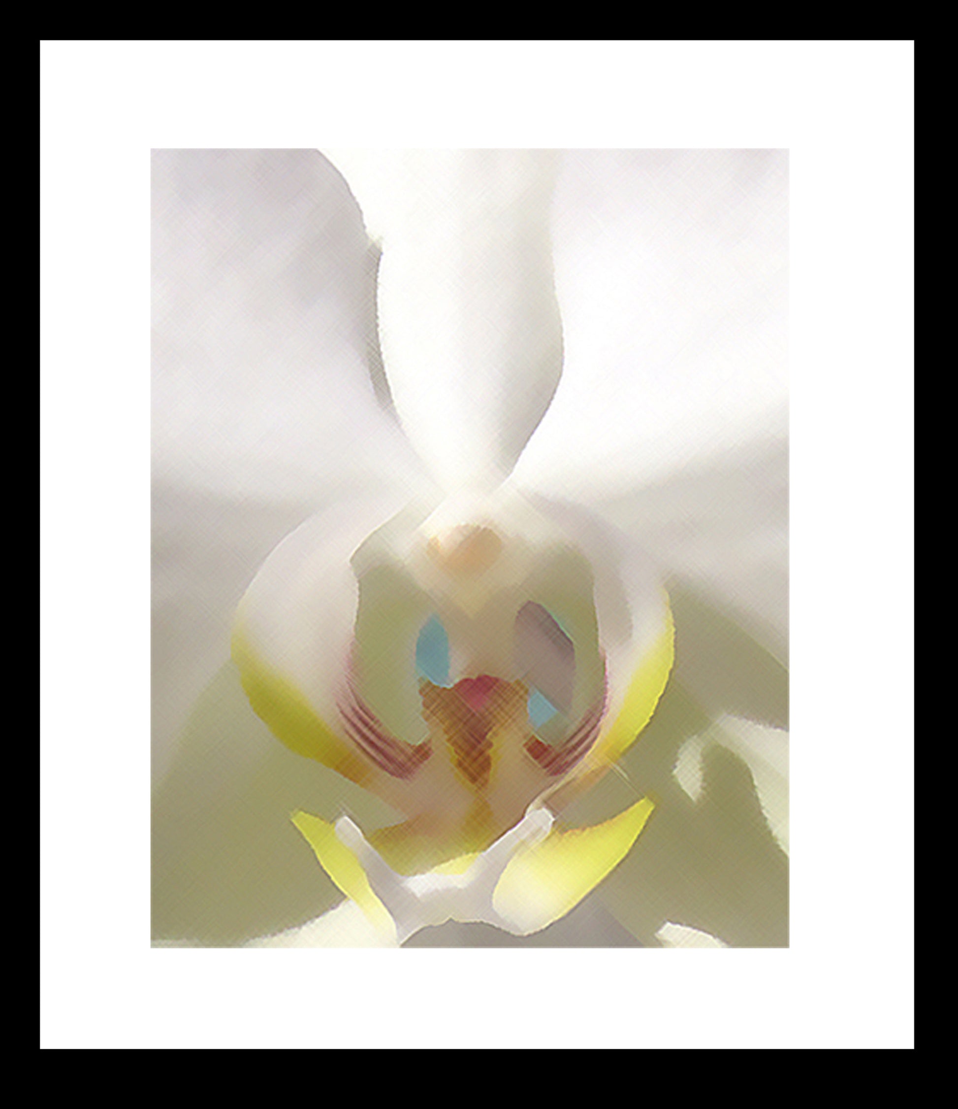 White Dendrobium Original Photograph by Kim A. Bailey