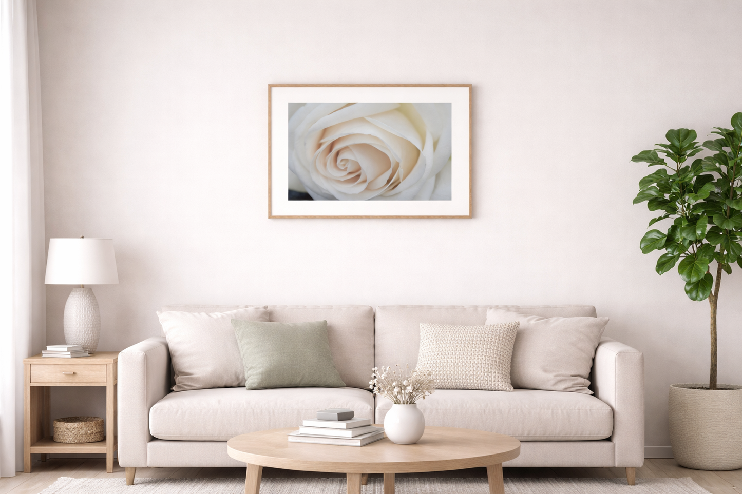 Ivory Whisper — Fine Art Rose Photograph