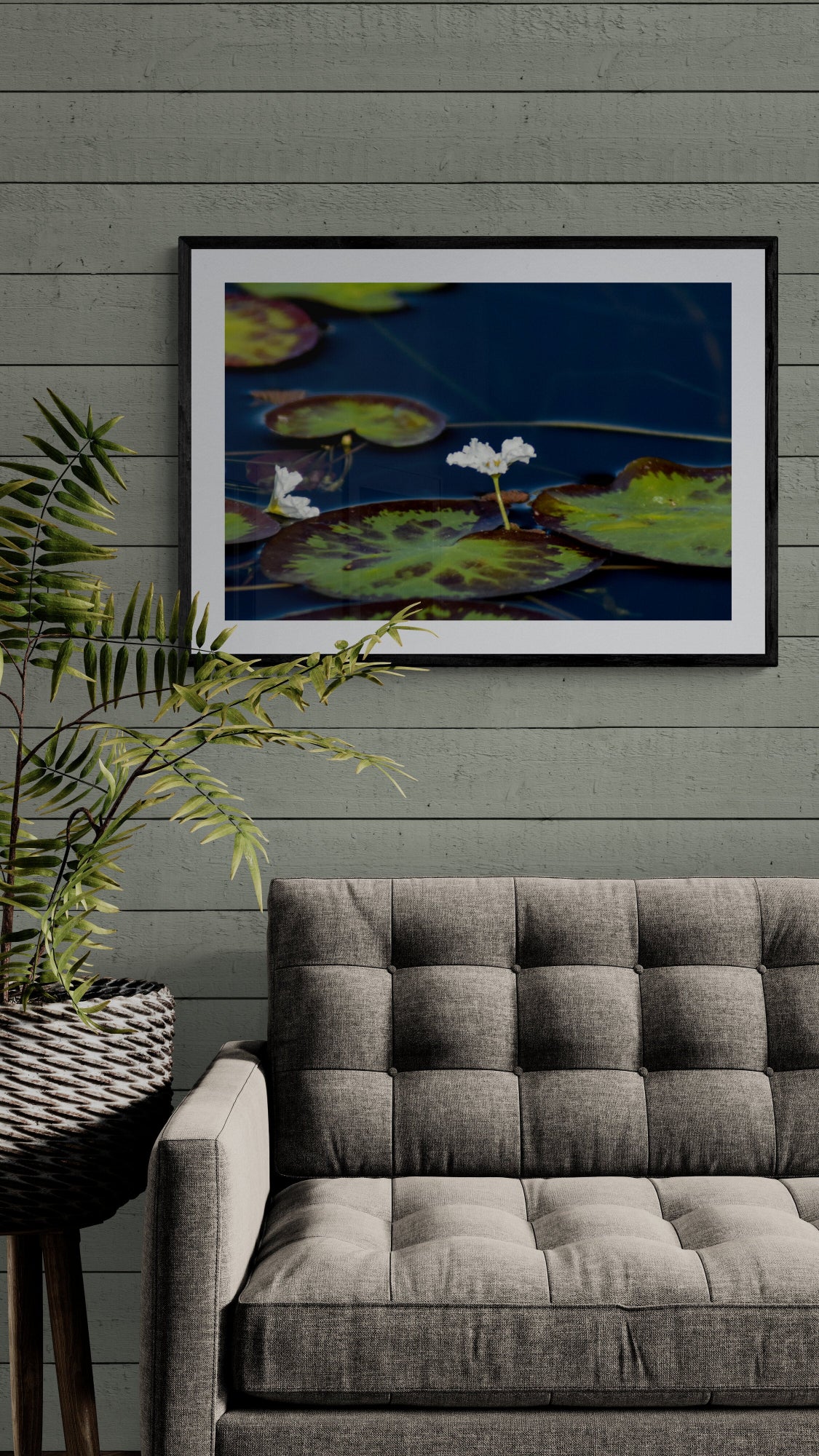 Framed photograph of lily pads on a wall above a gray sofa. White Water Lily, Original Photograph by Kim A. Bailey