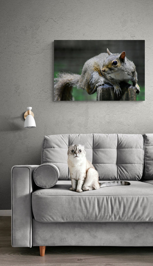 Nature’s Beauty Captured "Squirrel" Original Photograph by Kim A. Bailey