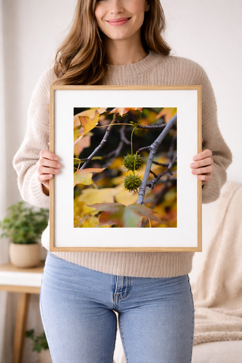 Sweetgum Seeds in Autumn Light