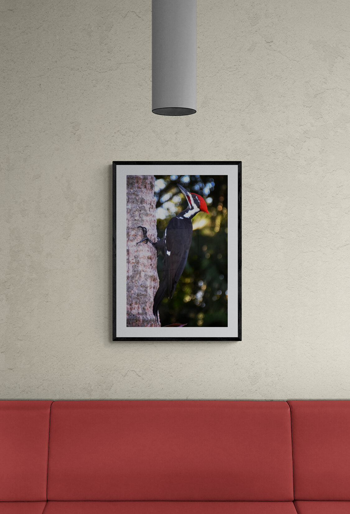 Framed picture of a woodpecker on a tree trunk hanging above a red couch.