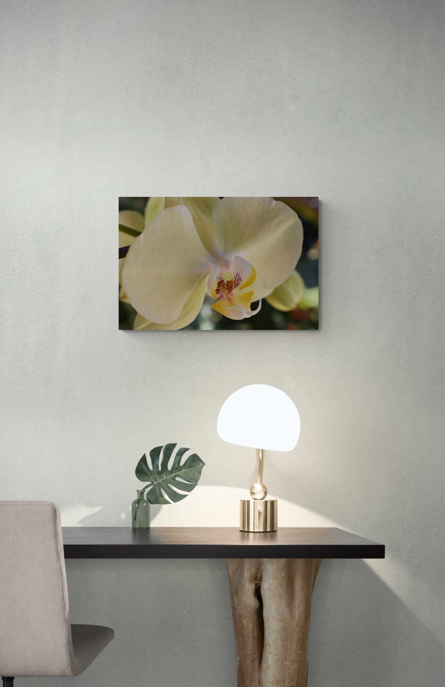 Yellow Phalaenopsis Orchid, Original Photograph by Kim A. Bailey