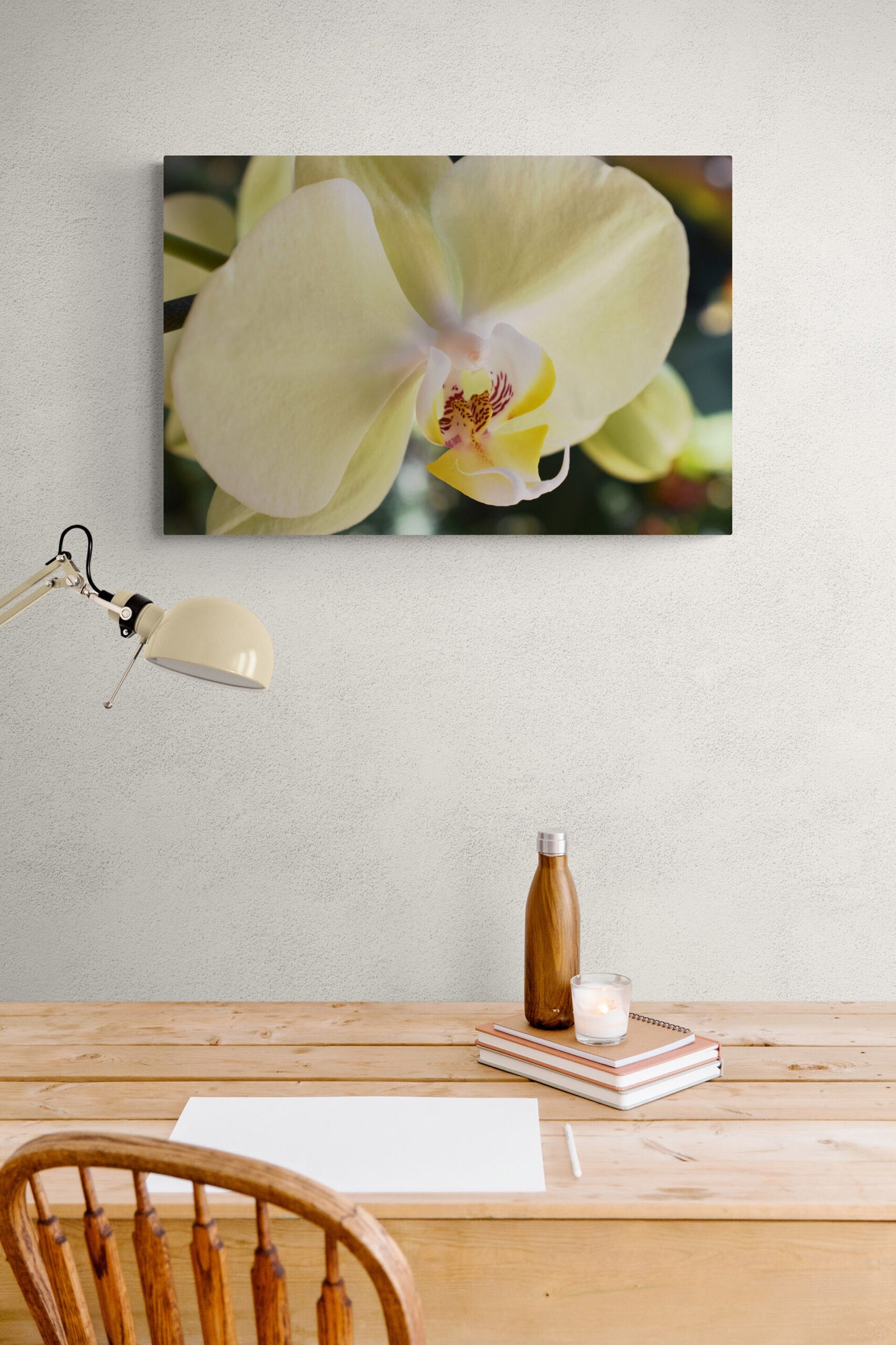 Yellow Phalaenopsis Orchid, Original Photograph by Kim A. Bailey