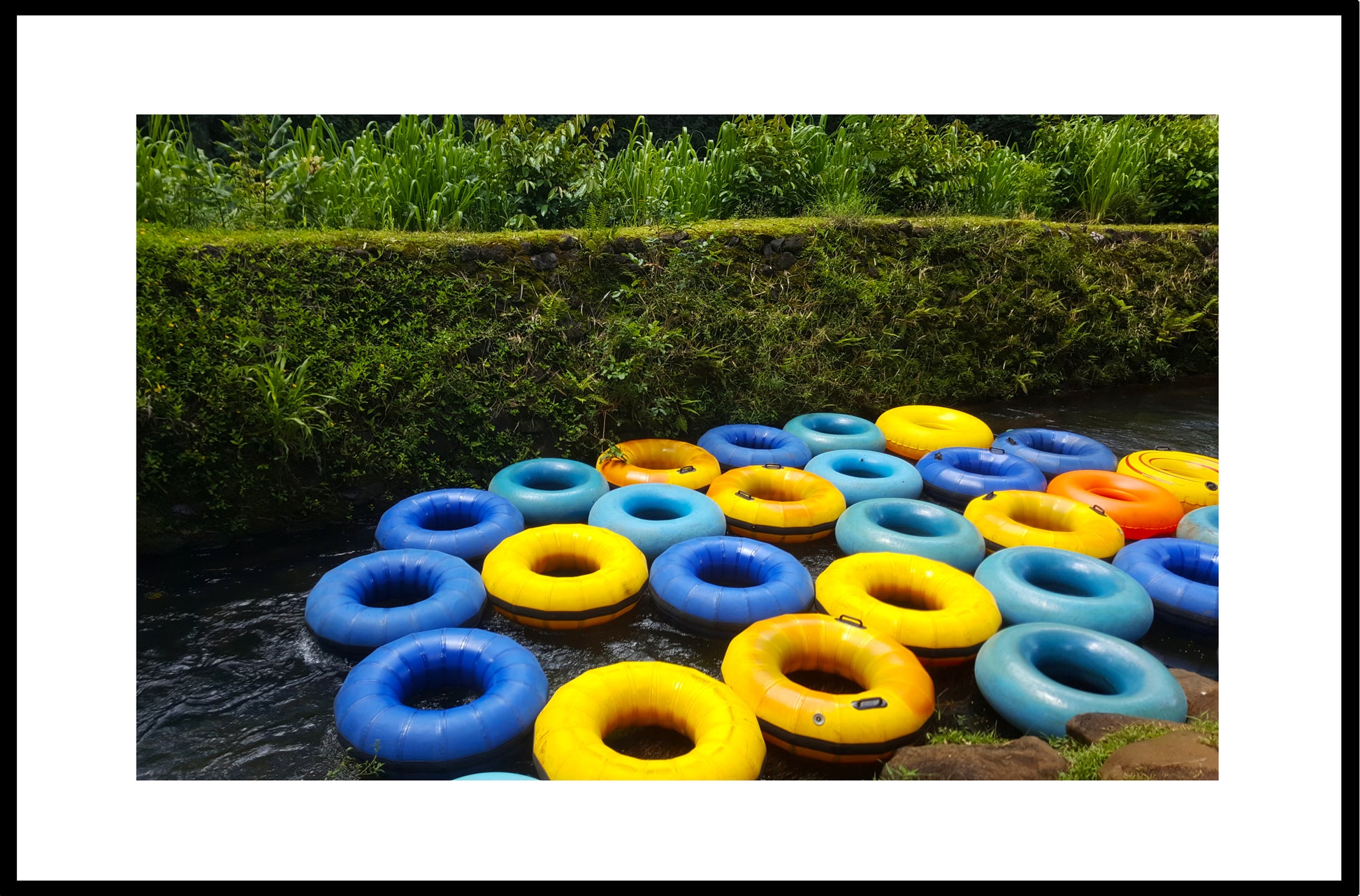 Yellow_and_Blue_Tubes Original Photograph by Kim A. Bailey
