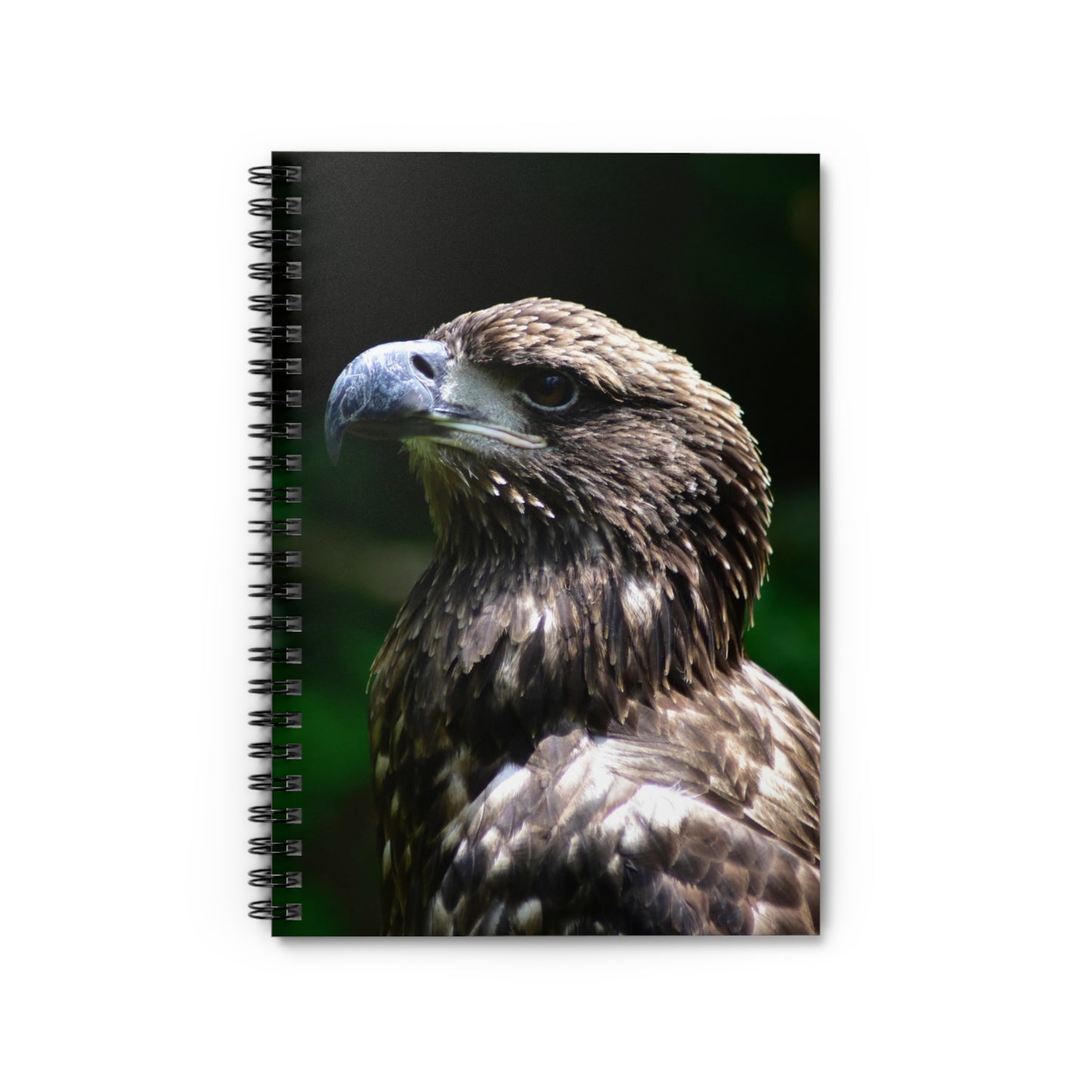 A spiral notebook with a photograph of a young American Bald Eagle on the cover.