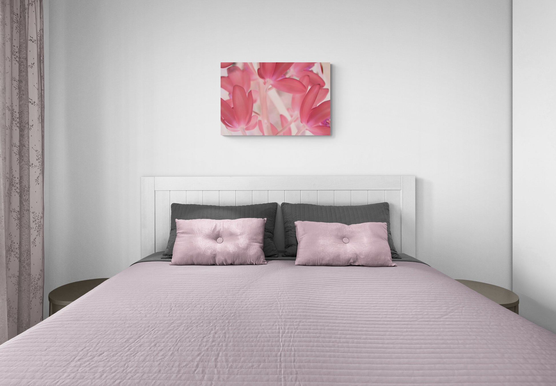 Pink Tinted Orchid image 3