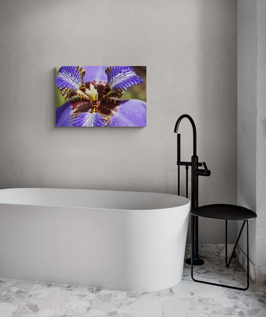 Purple Iris image 3