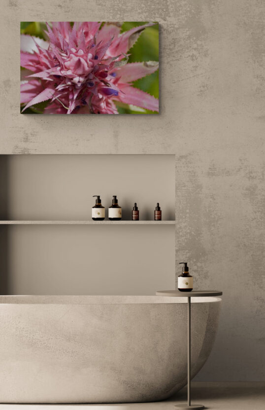 Nature-Inspired Photography Prints to Elevate Your Space "Pink Bromeliad Crown" image 3