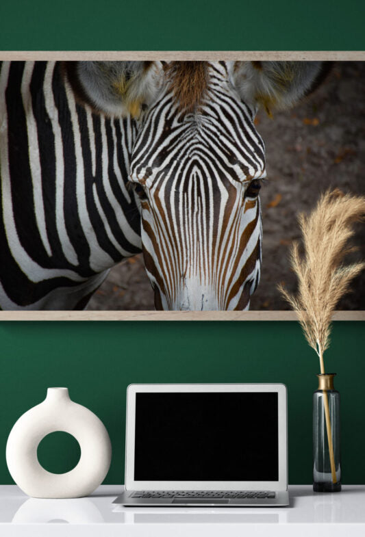 Zebra Face image 3