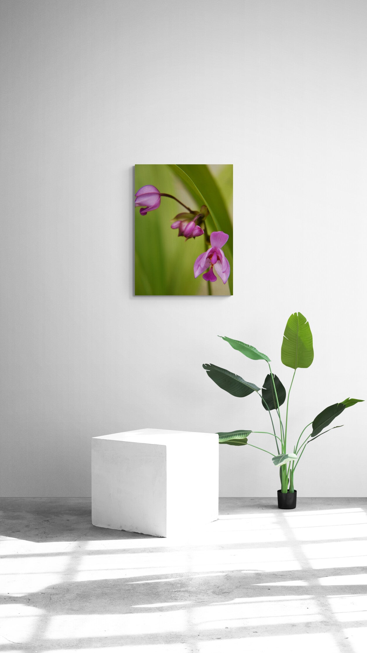 Tiny Purple Ground Orchids image 4