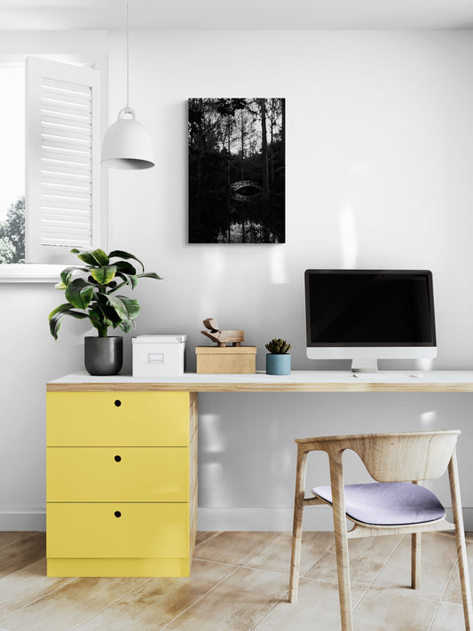 Bridge at Magnolia Gardens (B/W) image 3