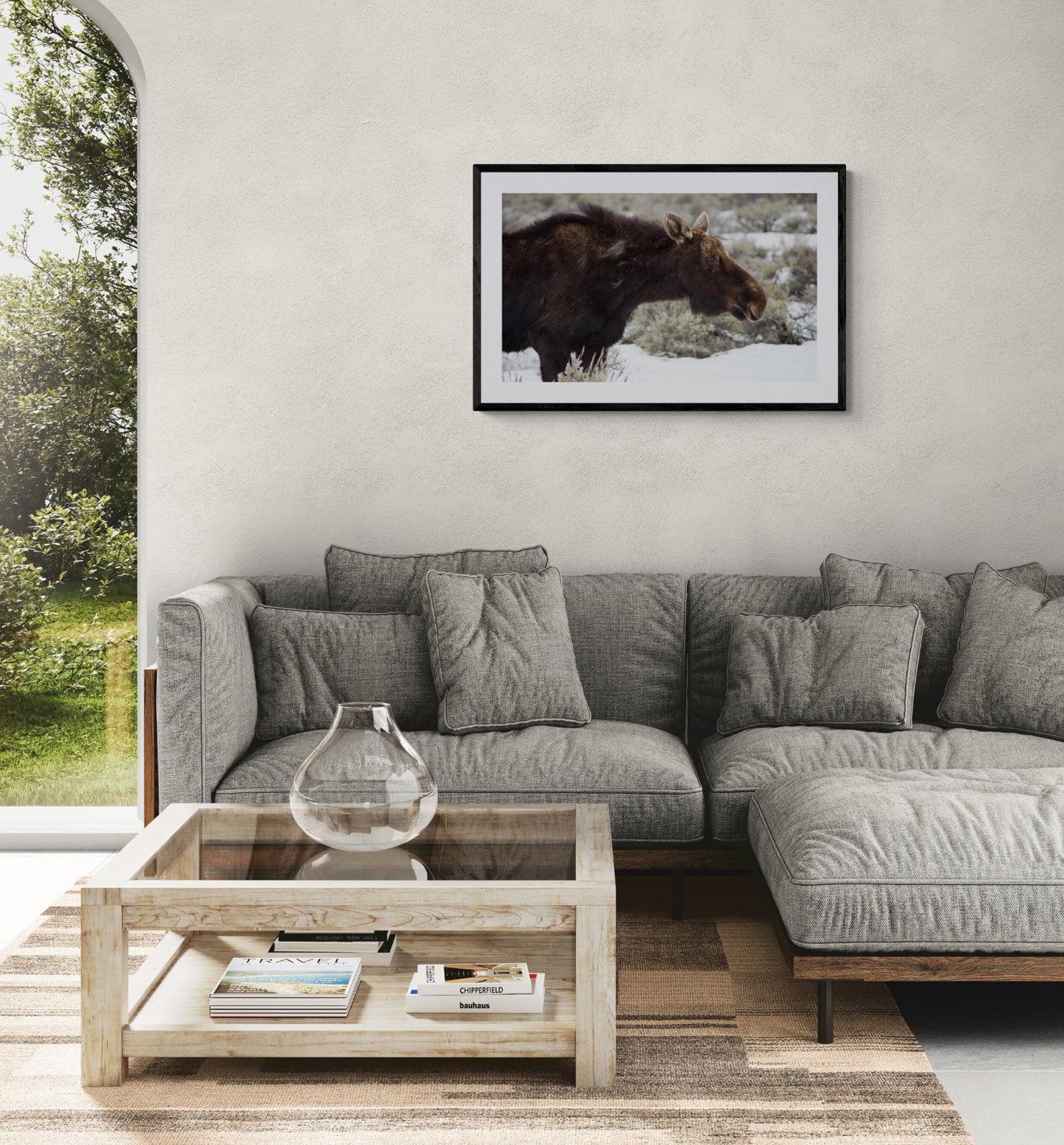 Living room with a large gray sectional sofa and a framed picture of a moose on the wall. Female Moose in Jackson Hole, Wyoming Original Photograph by Kim A. Bailey