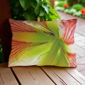 Decorative Outdoor Pillow Amaryllis Flower UV ray, water, & mildew resistant