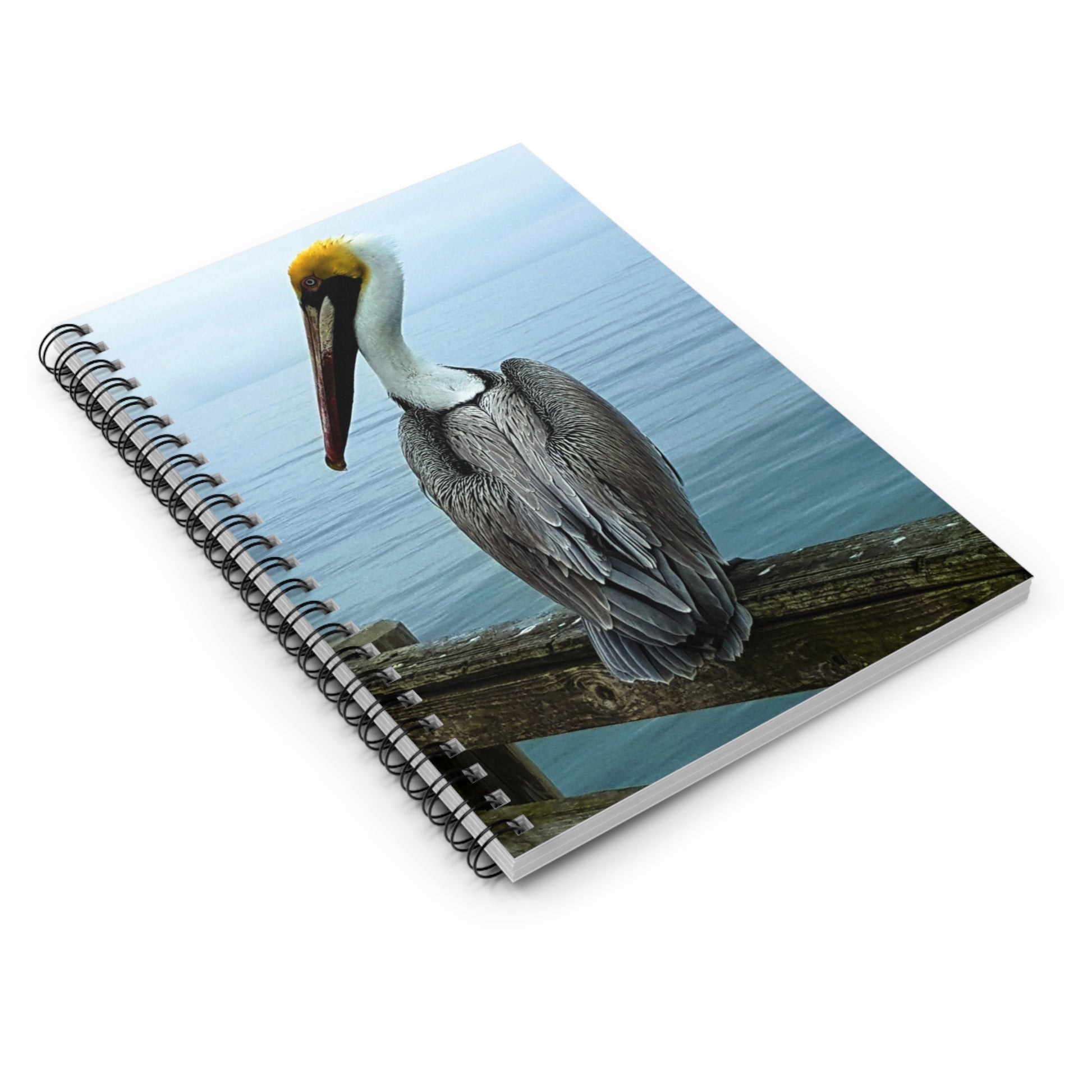 spiral notebook with a photograph of a pelican on the cover by Kim A. Bailey