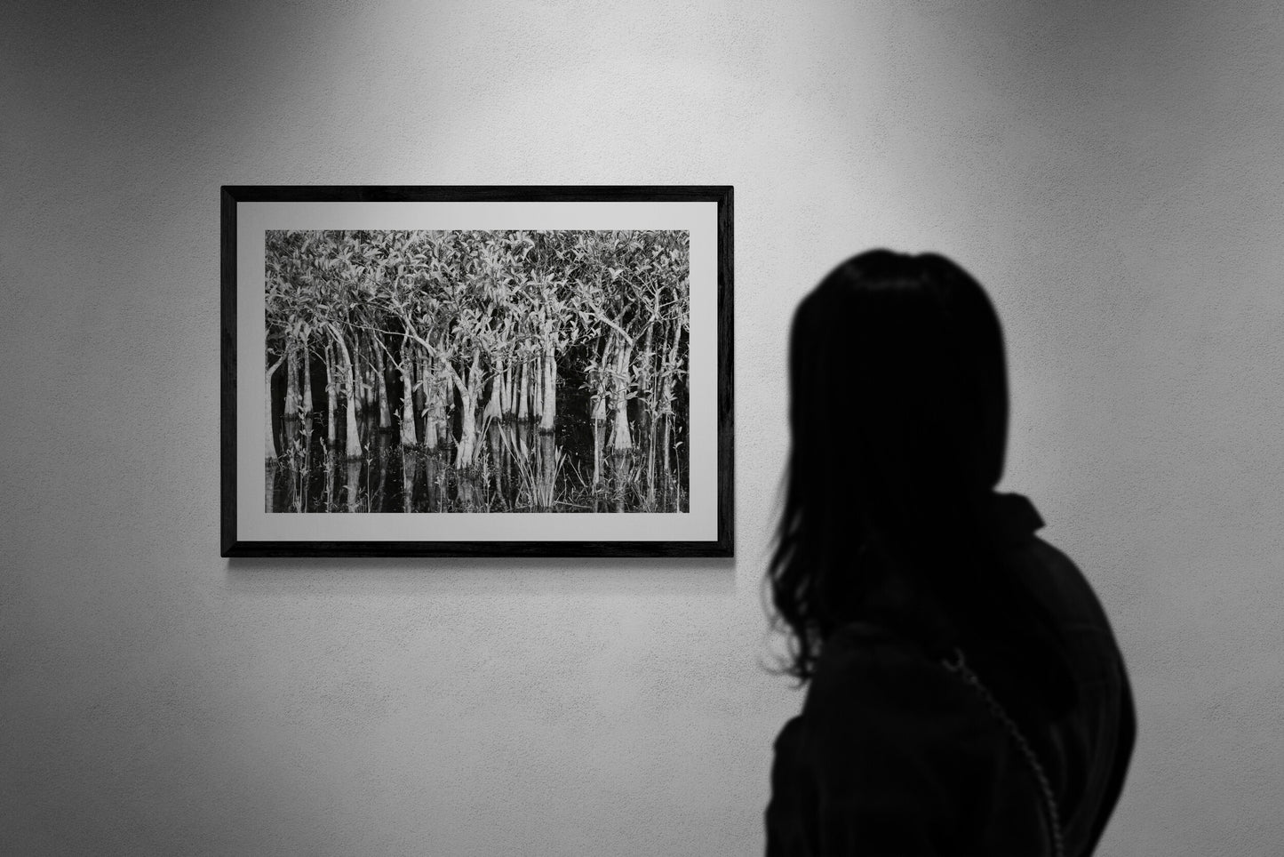 Trees in the Wetlands (Black and White)