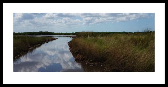 Framed Airboat Trail, Original Photograph by Kim A. Bailey