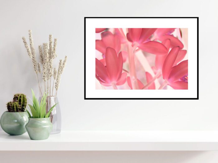 Framed Pink Tinted Orchid, Original Photograph by Kim A. Bailey