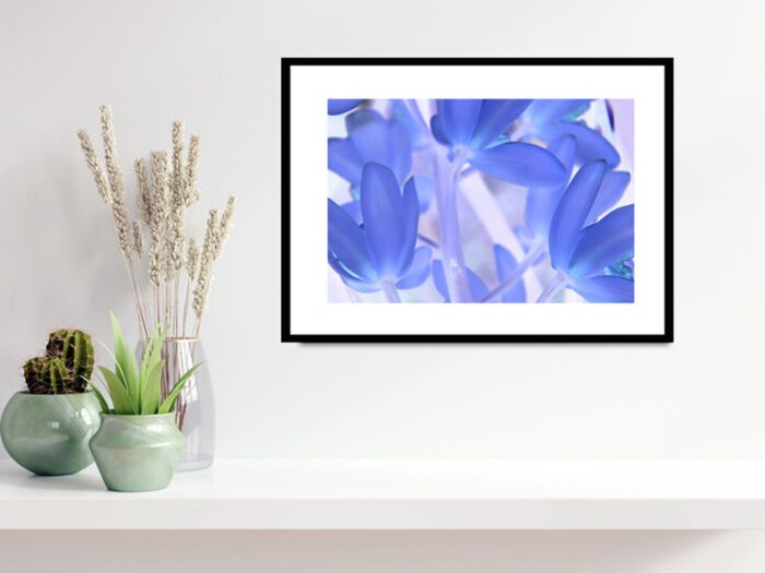 Framed Blue Tinted Orchid, Original Photograph by Kim A. Bailey