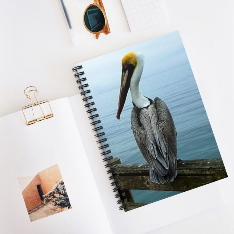 Spiral Notebook - Ruled Line - "Pelican" by Kim Bailey