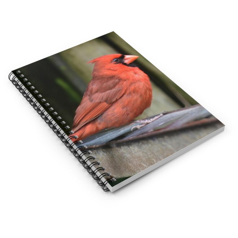 Red Cardinal Spiral Notebook - Ruled Line Photo By Kim A. Bailey