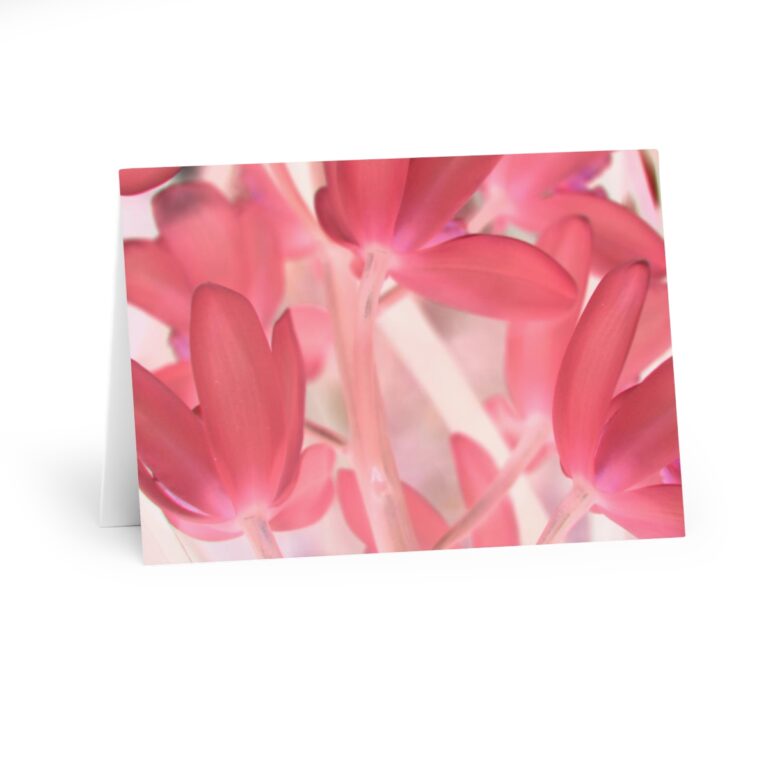 Greeting Cards (5 Pack) "Pink Tinted Orchids" by Kim A. Bailey