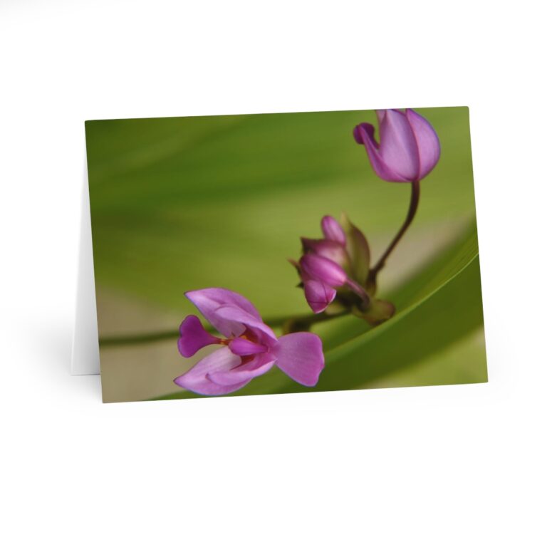 Greeting Cards (5 Pack) "Purple Ground Orchid" by Kim A. Bailey