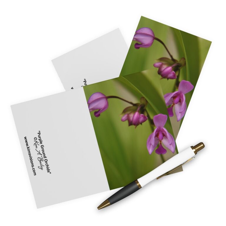 Greeting Cards (5 Pack) "Purple Ground Orchid" by Kim A. Bailey