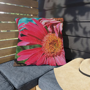 Daisies Outdoor Square Pillow