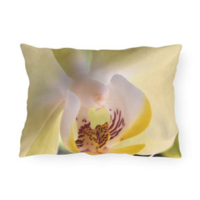 Green-Phaleanopsis-Orchid-Rectangle-Outdoor-Pillow