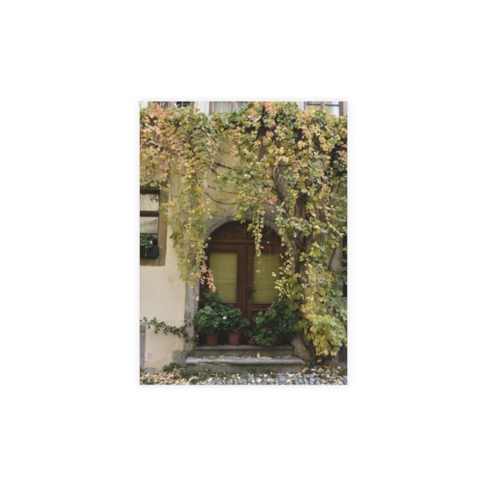 Vines over a Door, Rothenburg Germany. Notecards featuring the photograph by Kim A. Baiiley