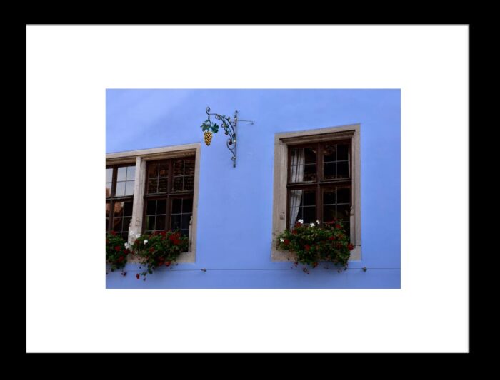 Blue Walls with Windows and Gold Grapes - Framed