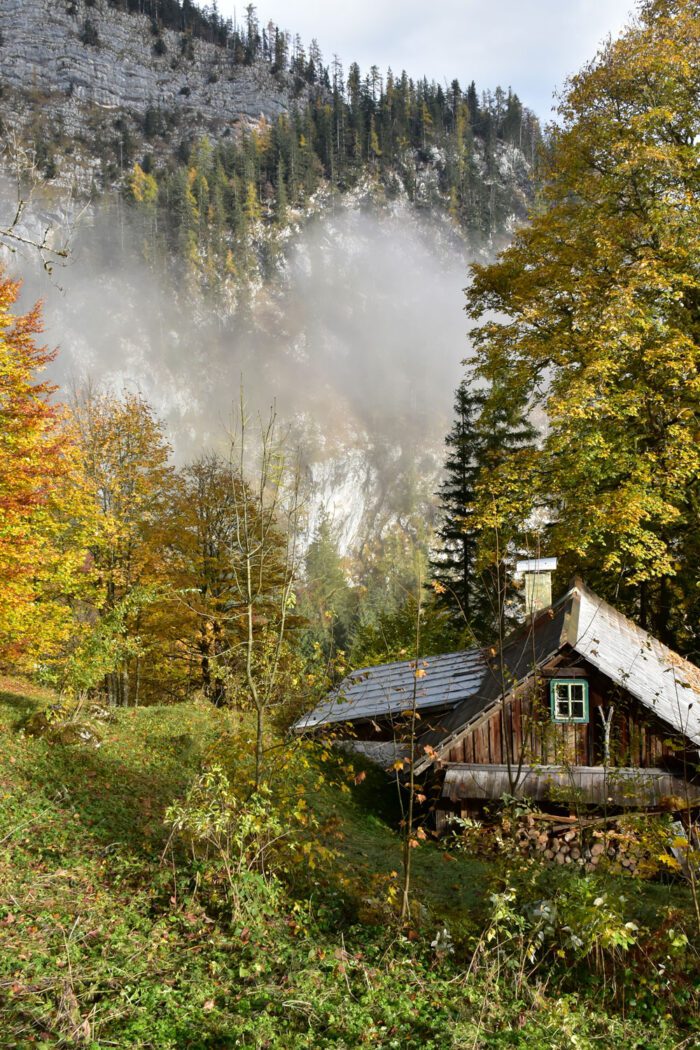 Cabin in Hallstatt